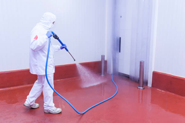 Best Playground Equipment Cleaning  in Greenlawn, NY